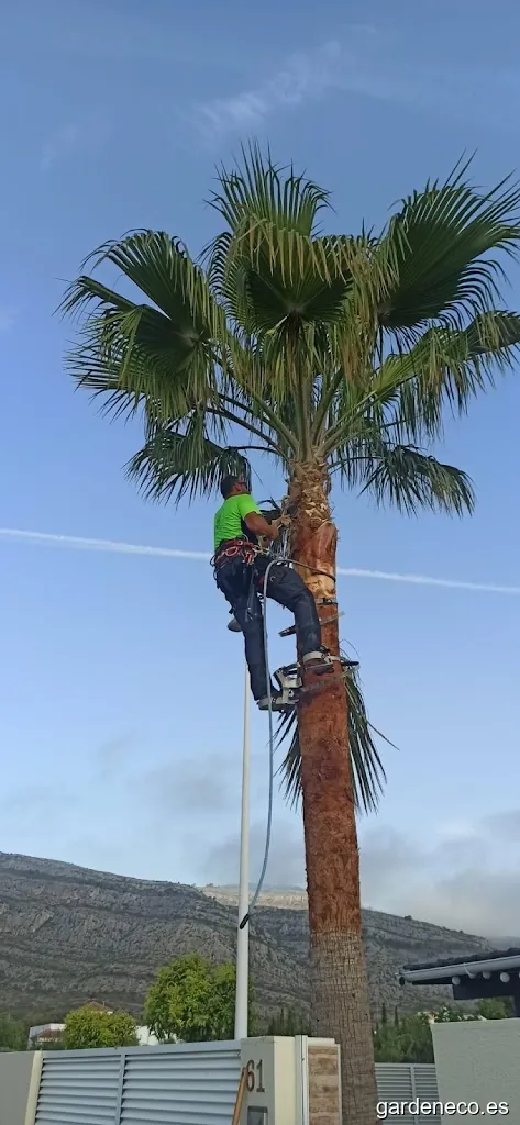 Jardinería San Fiacre: Especializados en césped artificial
