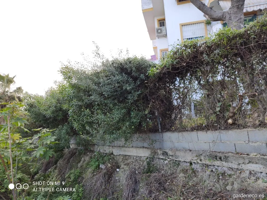 RUGARDEN | Jardineros en Malaga| Piscinas | Limpieza