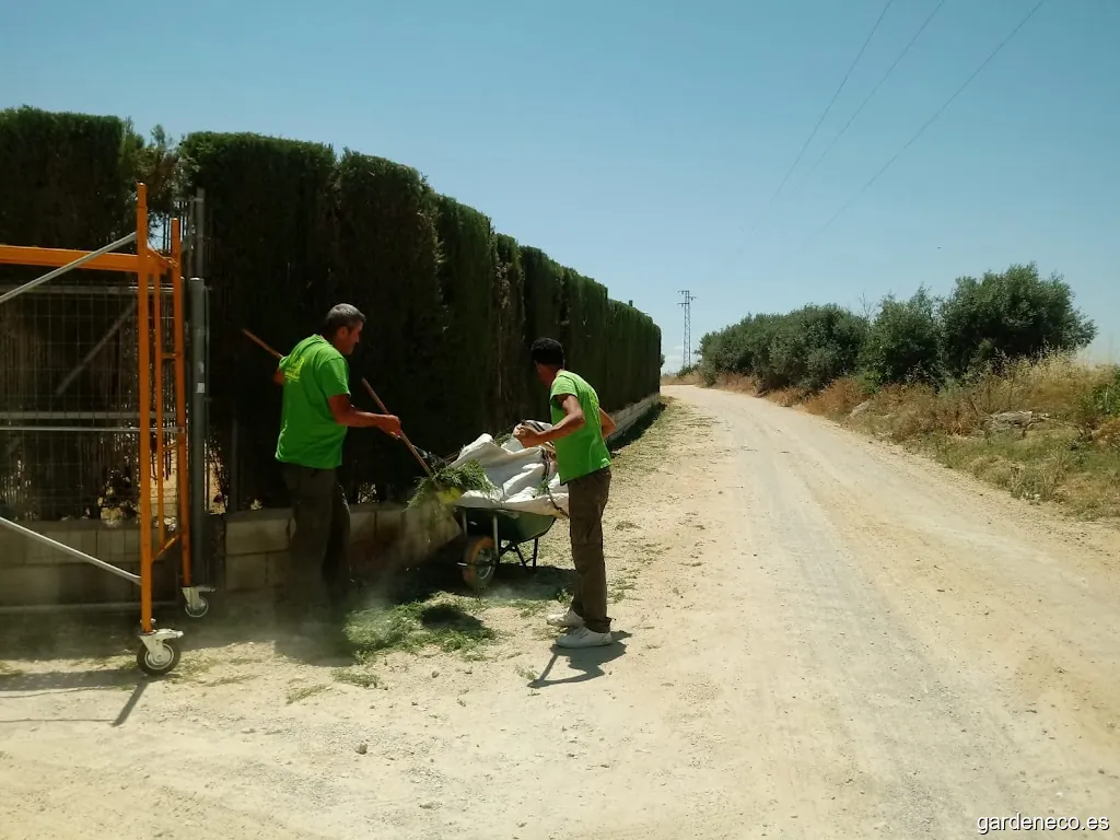 TOA - Técnicas Ornamentales Agrícolas