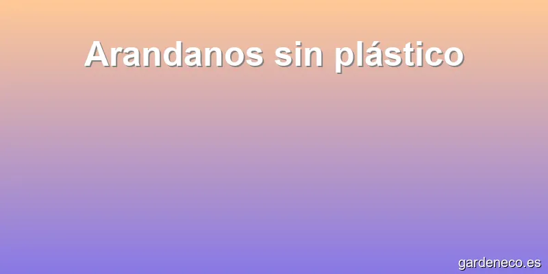 Arandanos sin plástico