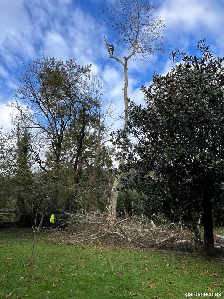 Jardinería Eco David