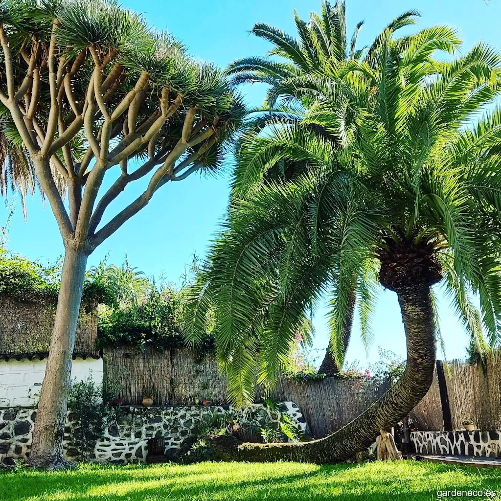 JVCA Mantenimiento de Jardines Cuidar de tu jardin es vida