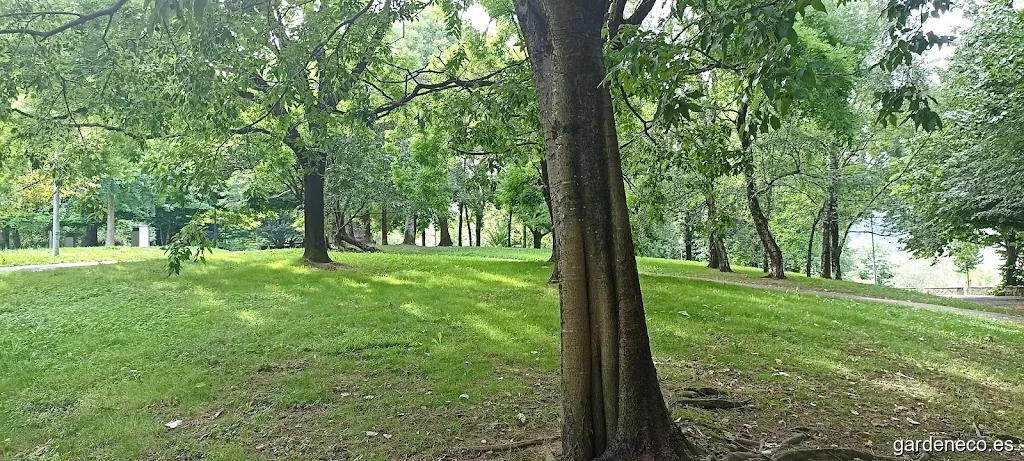 Herrera pasealekua-Harria parkearen atzealdea