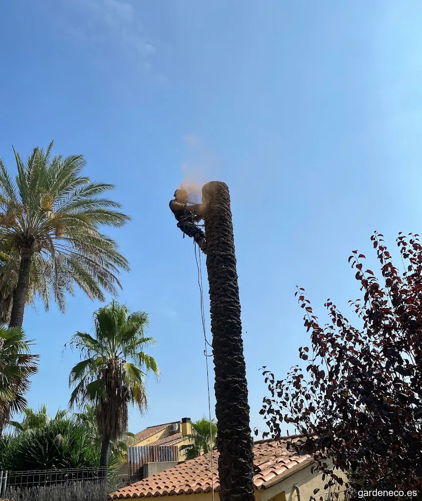 JGarden 🌿 Jardinería