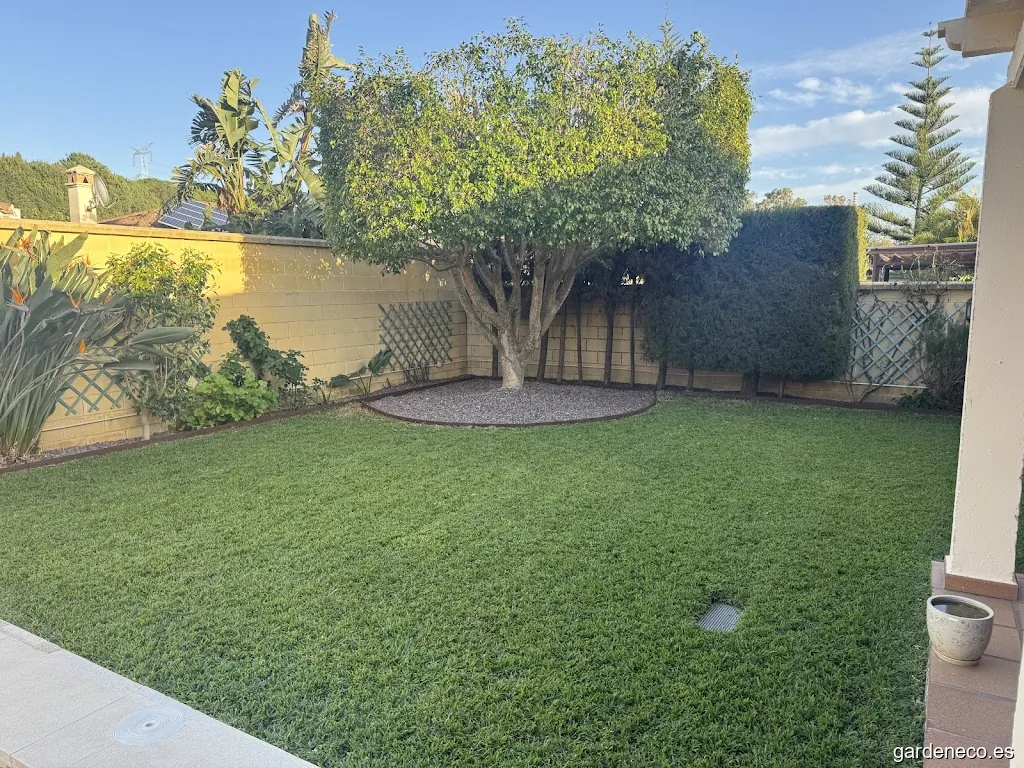 Green nature servicios