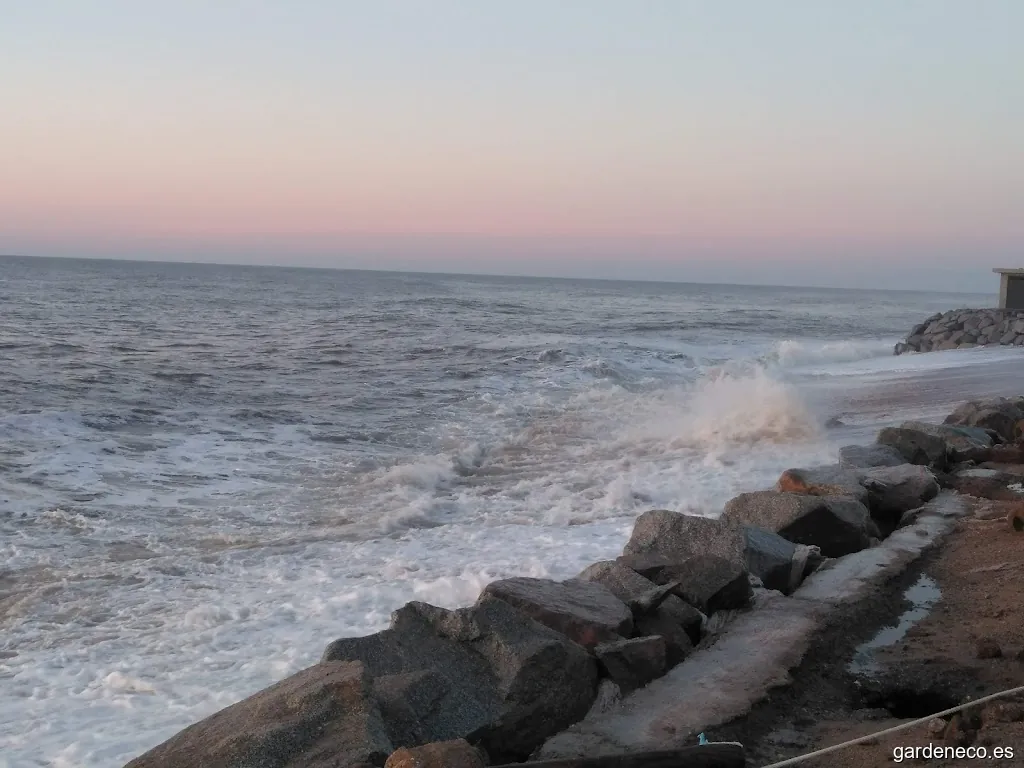 Zona de Picnic Los Pinos "Els Pins"