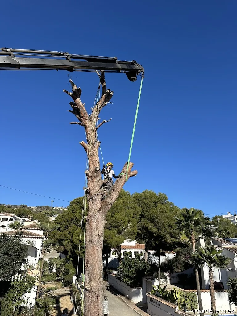 Grant Fisher garden services