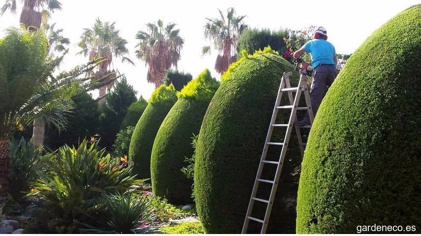 Viveros Maestra Jardineros