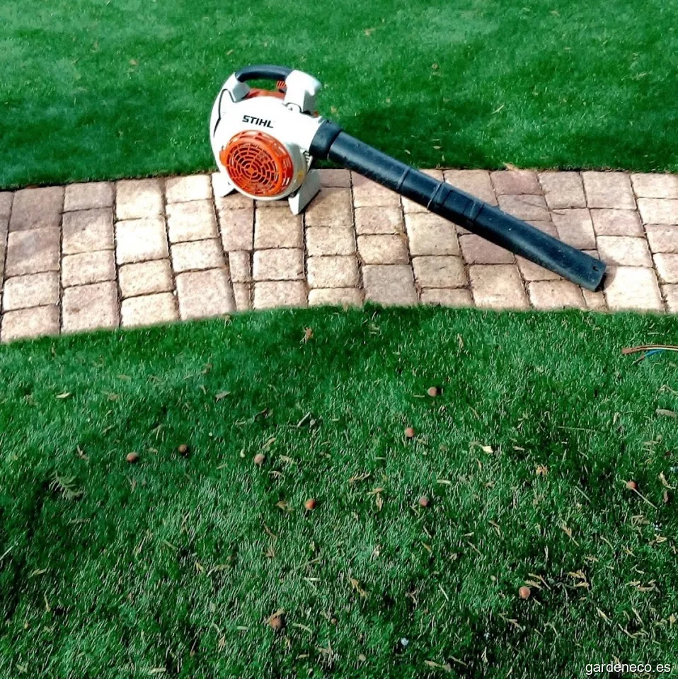 Jardineria Sierra de Guadarrama