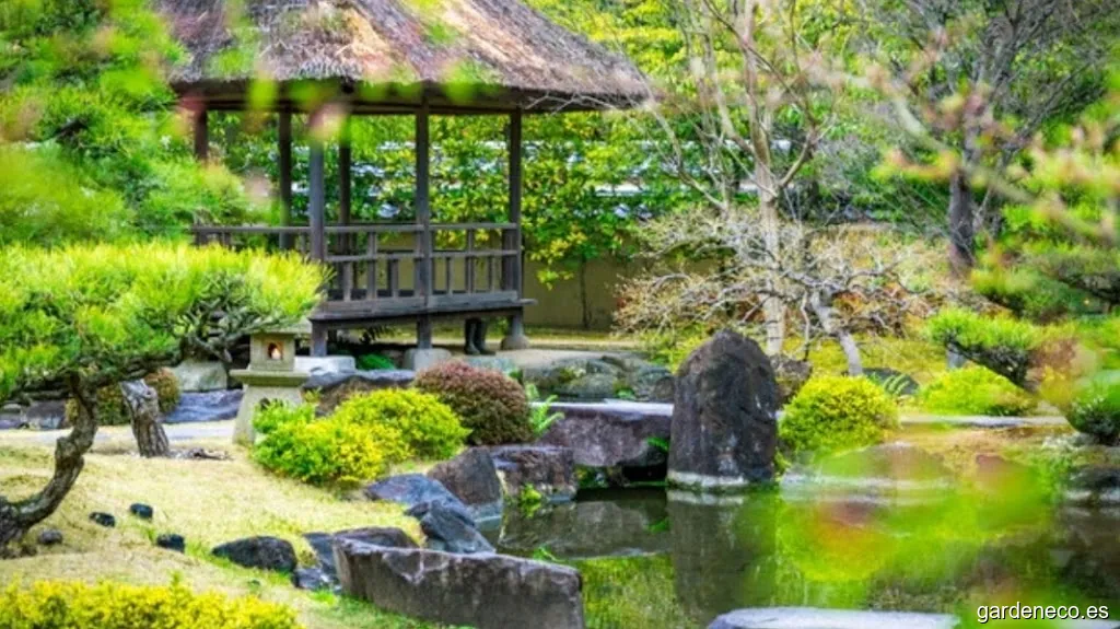 Mgt Jardines y Piscinas