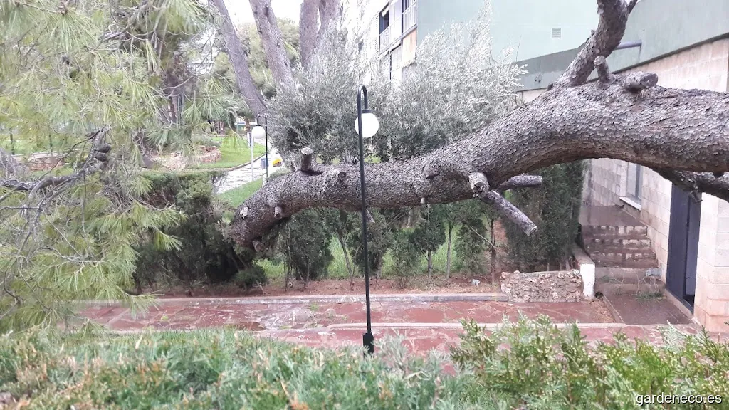 Jardinería y Poda Ferka