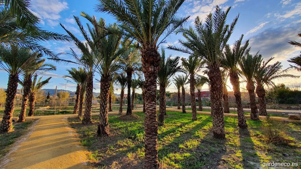 Jardines Murcia Río