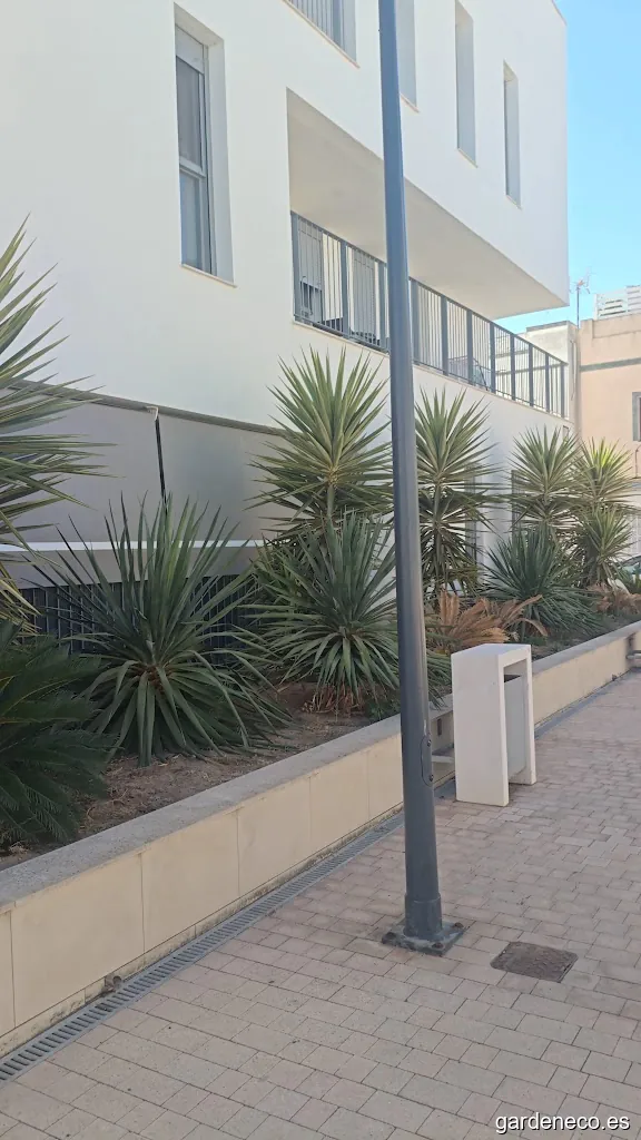 Plazuela de los Guitarreros