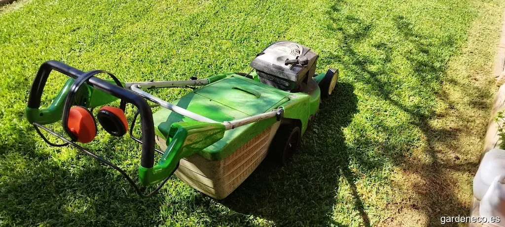 Javier Orosa. Servicios de jardinería.