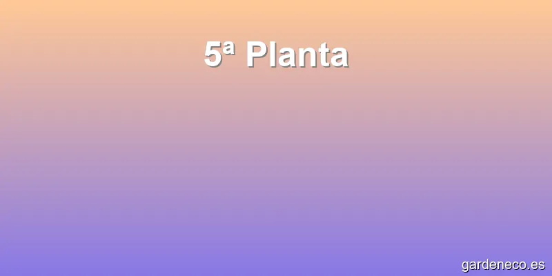 5ª Planta