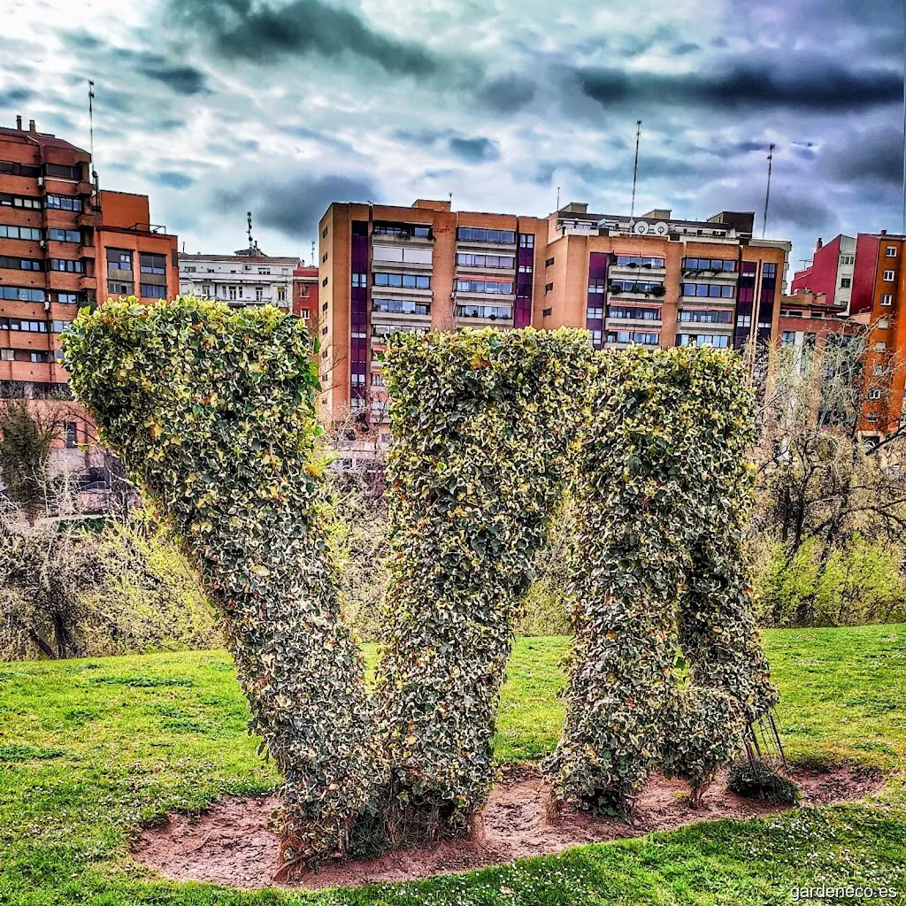 VA (de Valladolid) vegetal