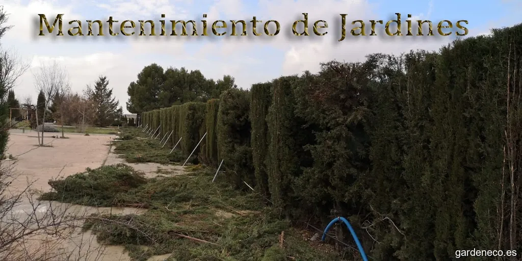 Jardinero Albacete