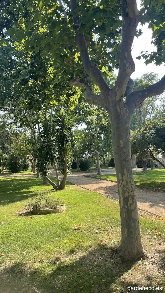Jardí Av. Felipe Klein