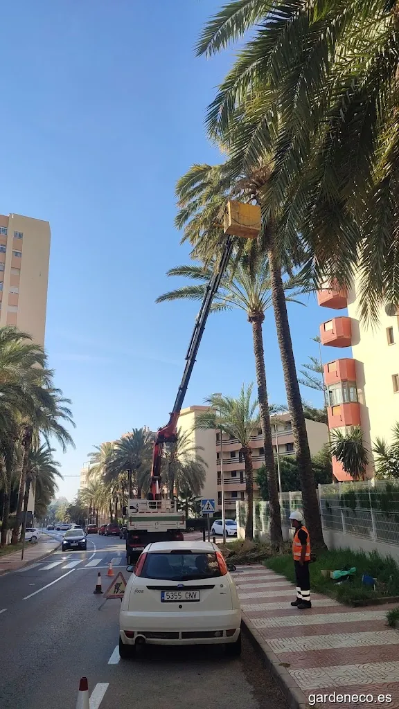 Jardinería Roquetas de Mar