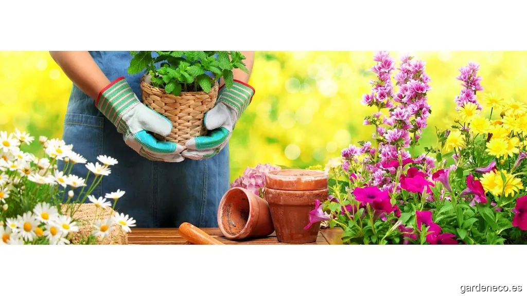 Borjardin Jardinería Integral
