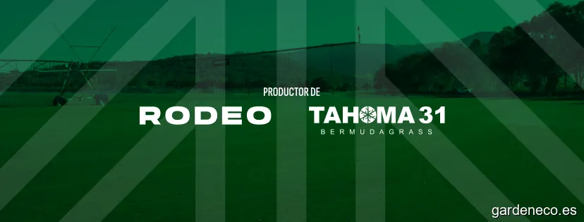 Césped del Sur - Productor de Césped Natural