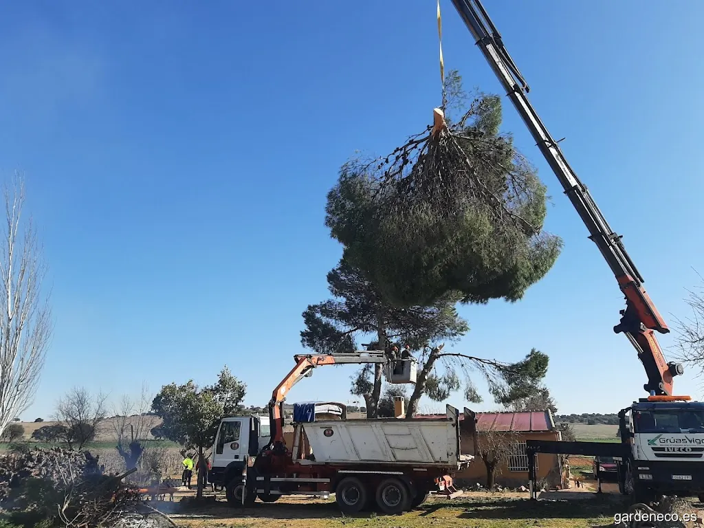 Mirabuenos | Obras y servicios en zonas verdes