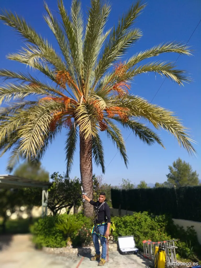 Jardineria Mediterránea