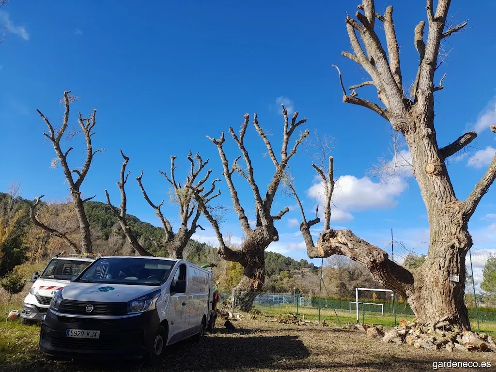 Juan Reyes Silver Jardinería Sociedad Limitada