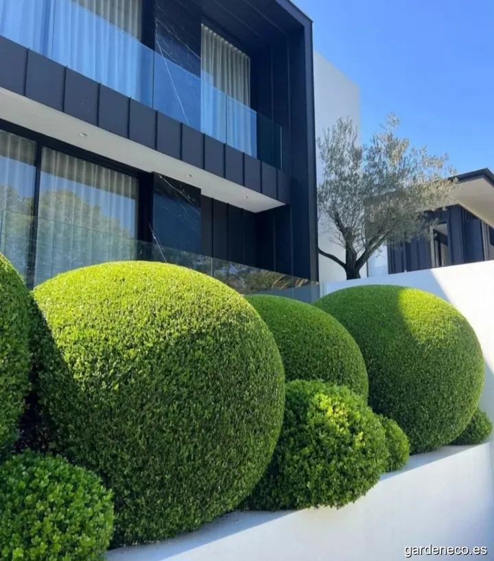 Jardinero | Jardineria360 | Madrid