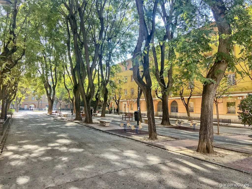 Plaza los Patos