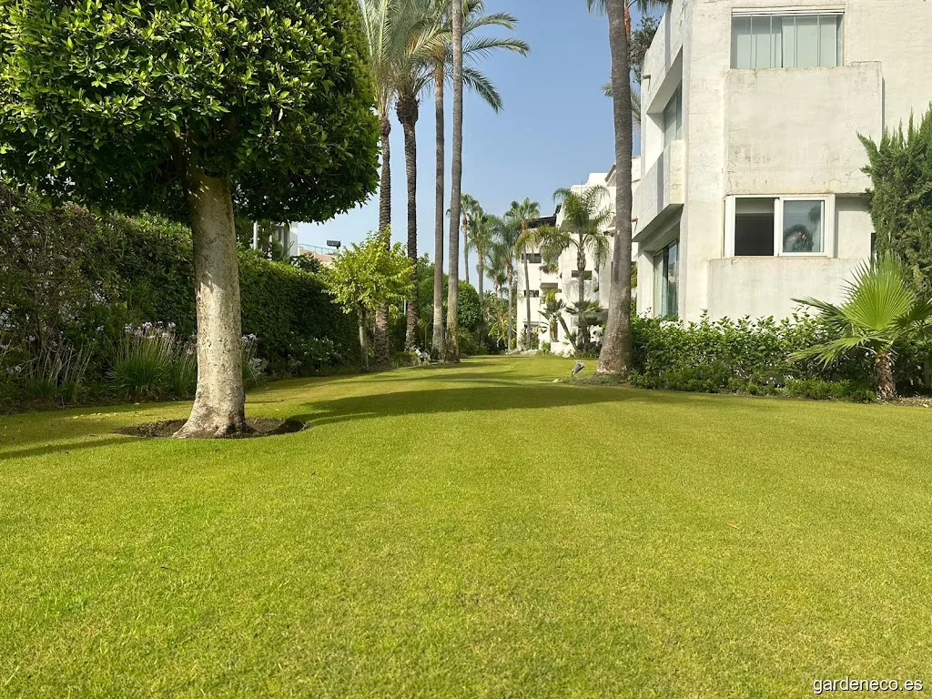 Servicios integrales Brisa Jardín