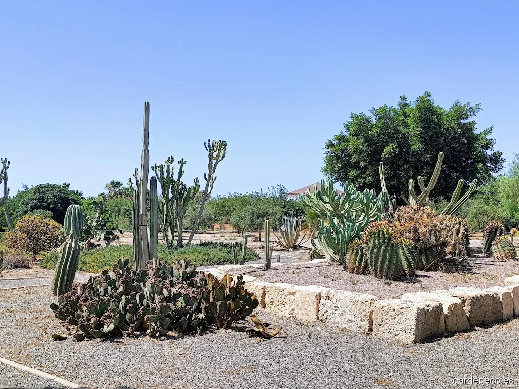 Jardín de Cactus