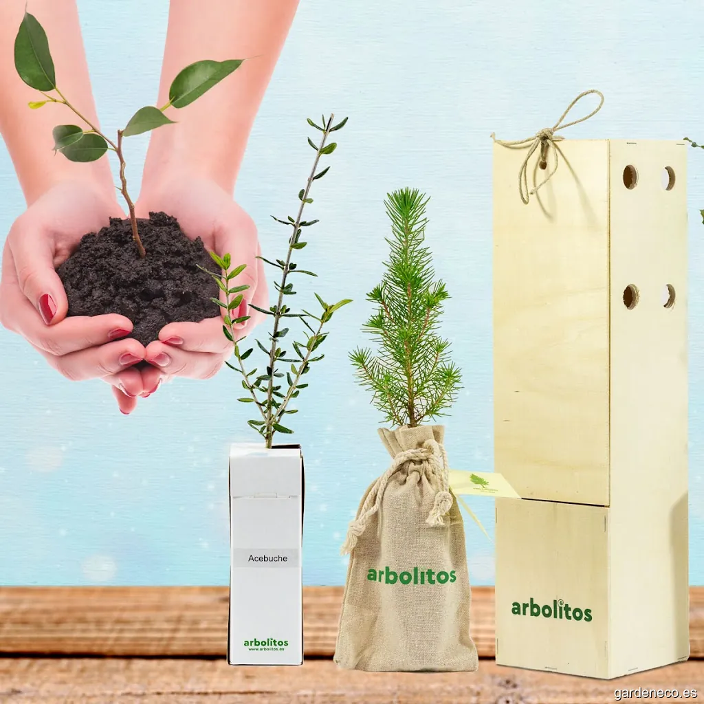 Arbolitos: Árboles para Regalar