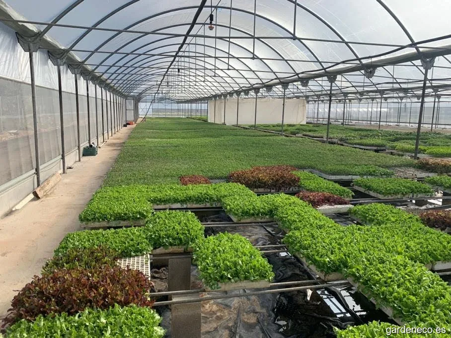 Semilleros el hortelano