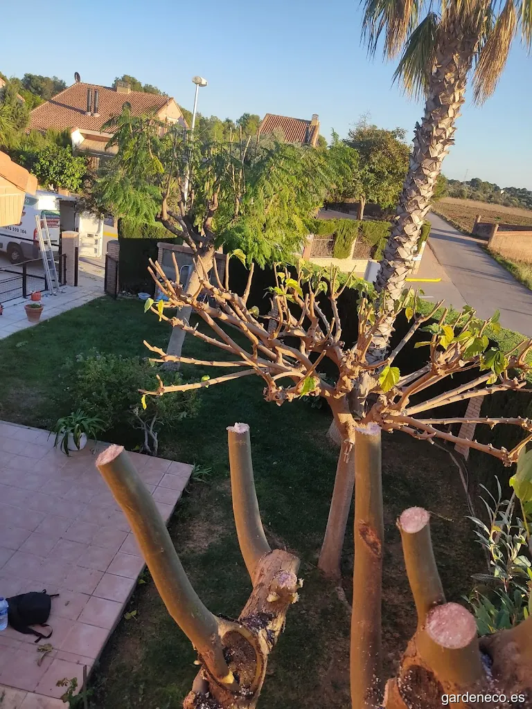 Aitana Jardines & Servicios