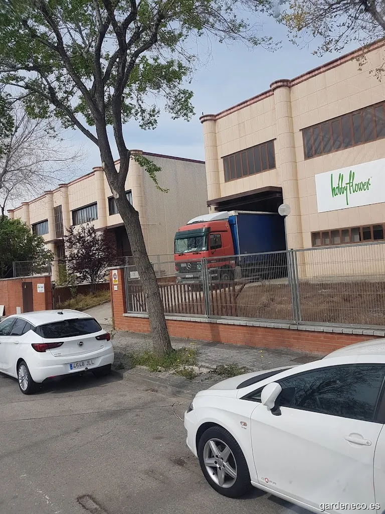 Hobby Flower Almacén | Warehouse