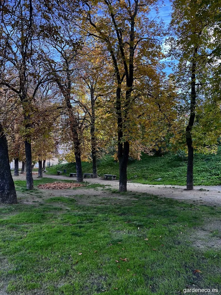 Alamedilla del Conejo