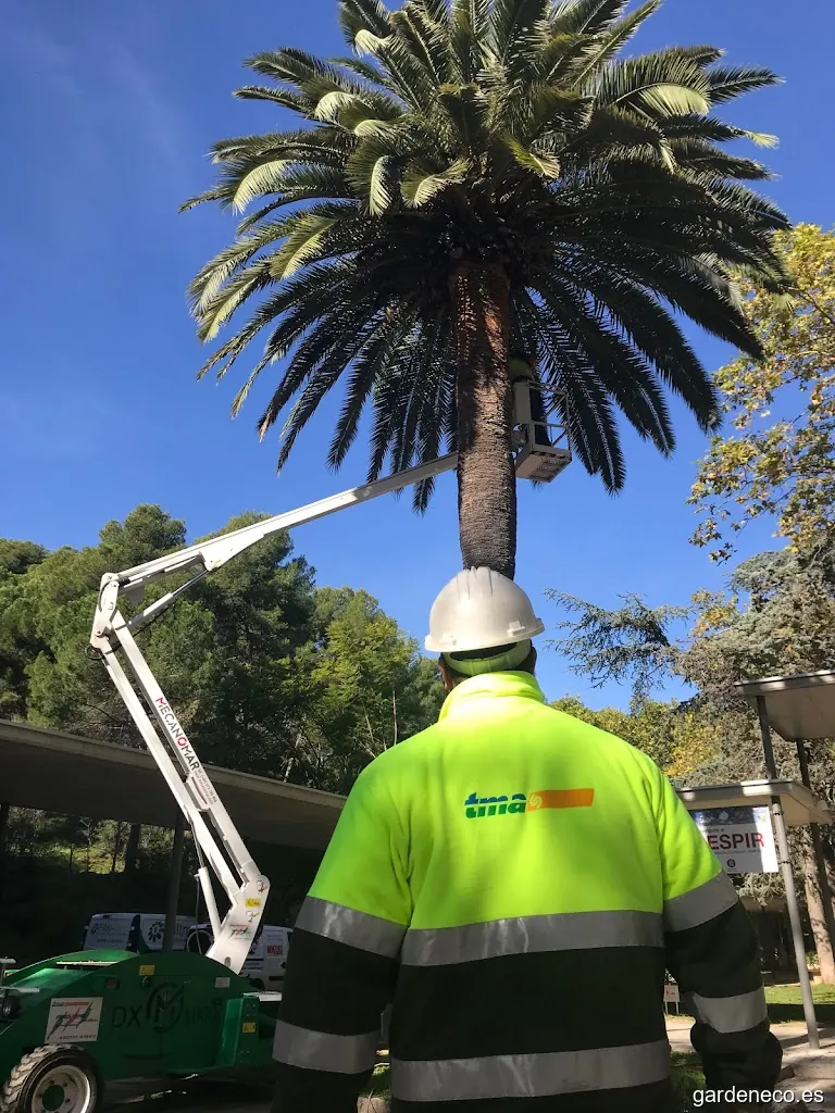 Espais Verds del Valles S.A.