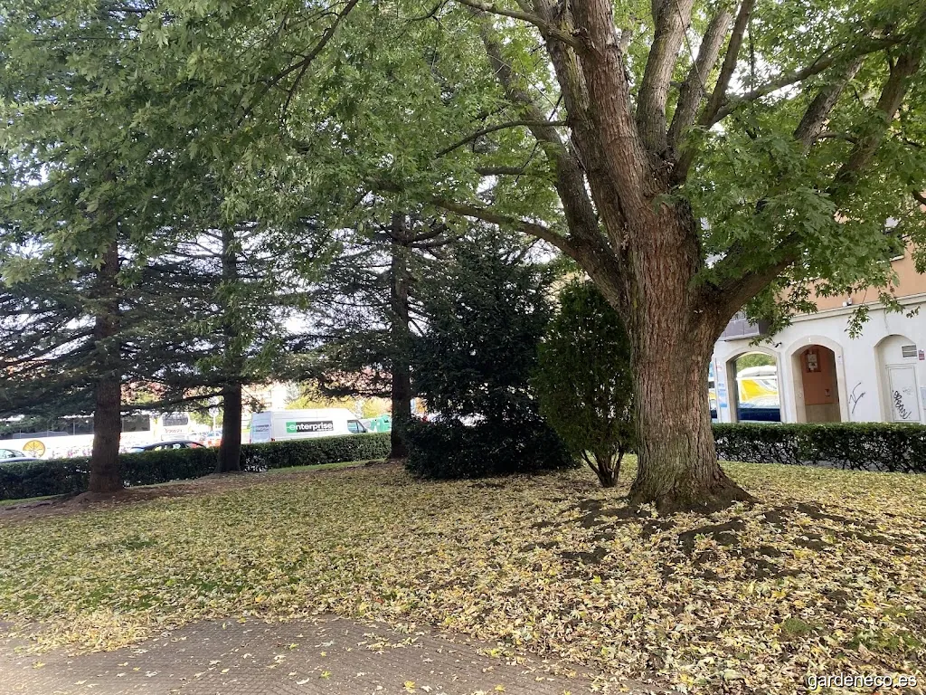 Jardín de la Tremolina