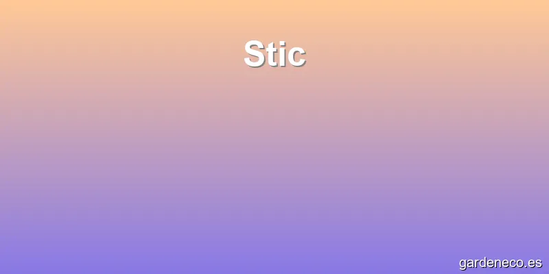 Stic