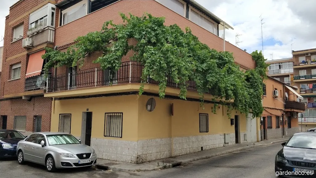 Parra de la calle Demetrio Majan