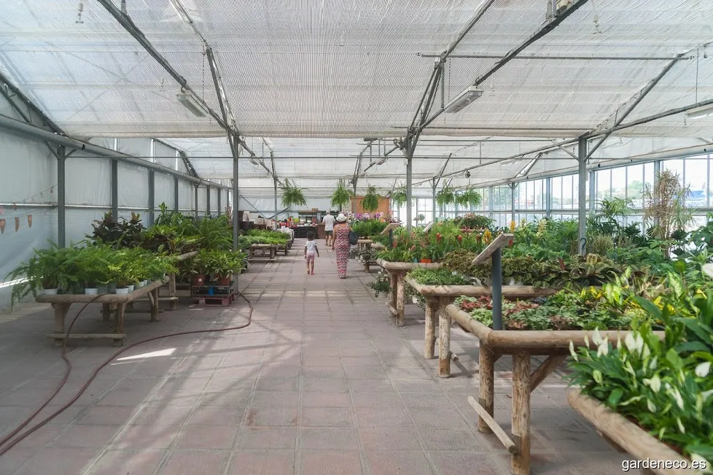 SUPER GARDEN ALICANTE