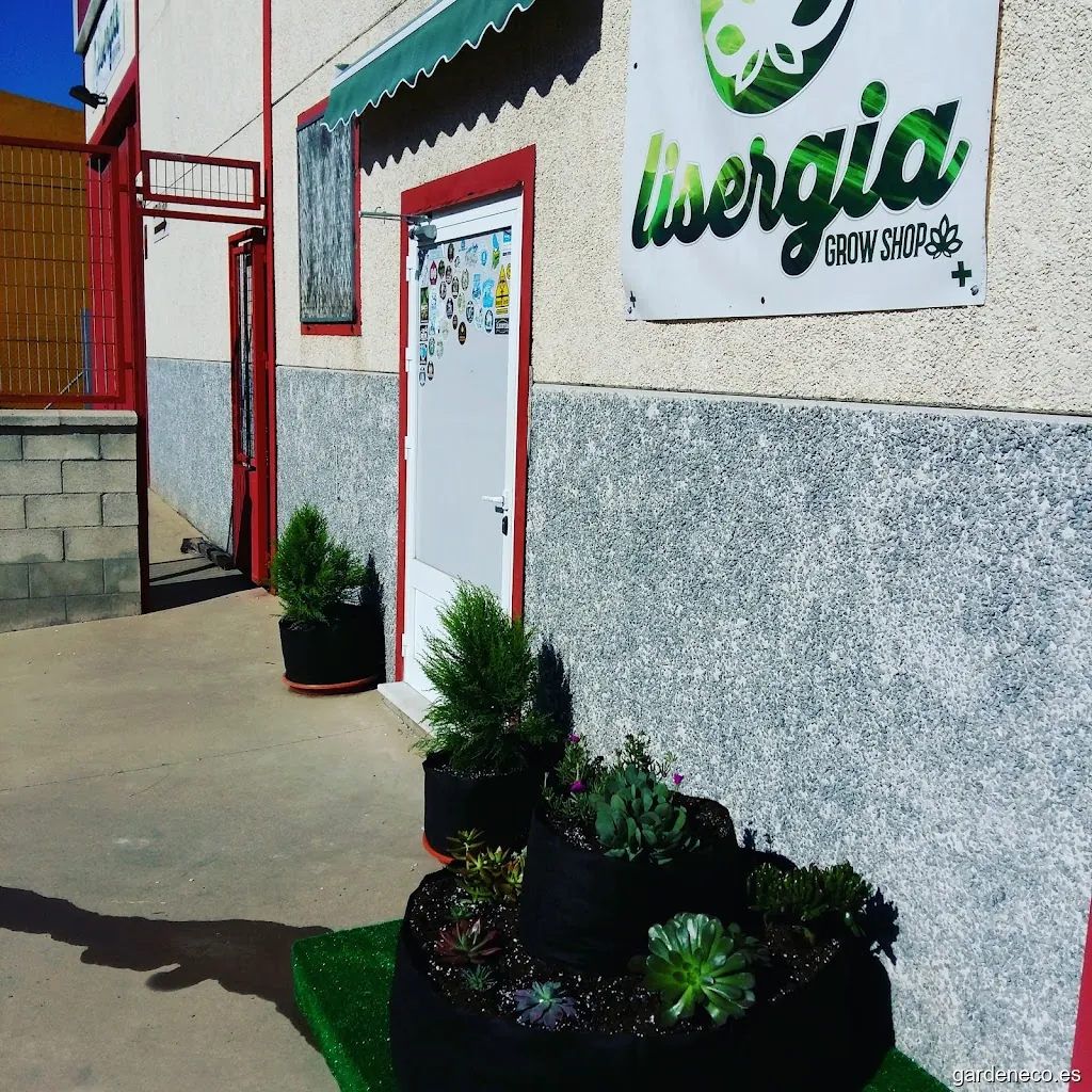 Lisergia, The Amazing Grow Shop