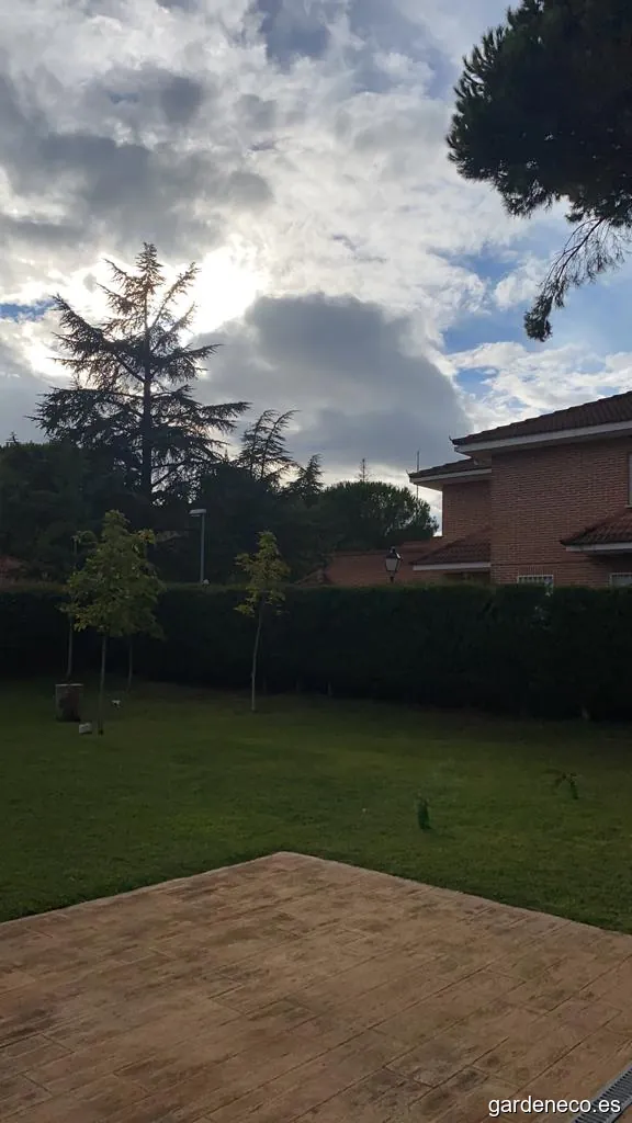 VERDE ES VIDA JARDINERÍA