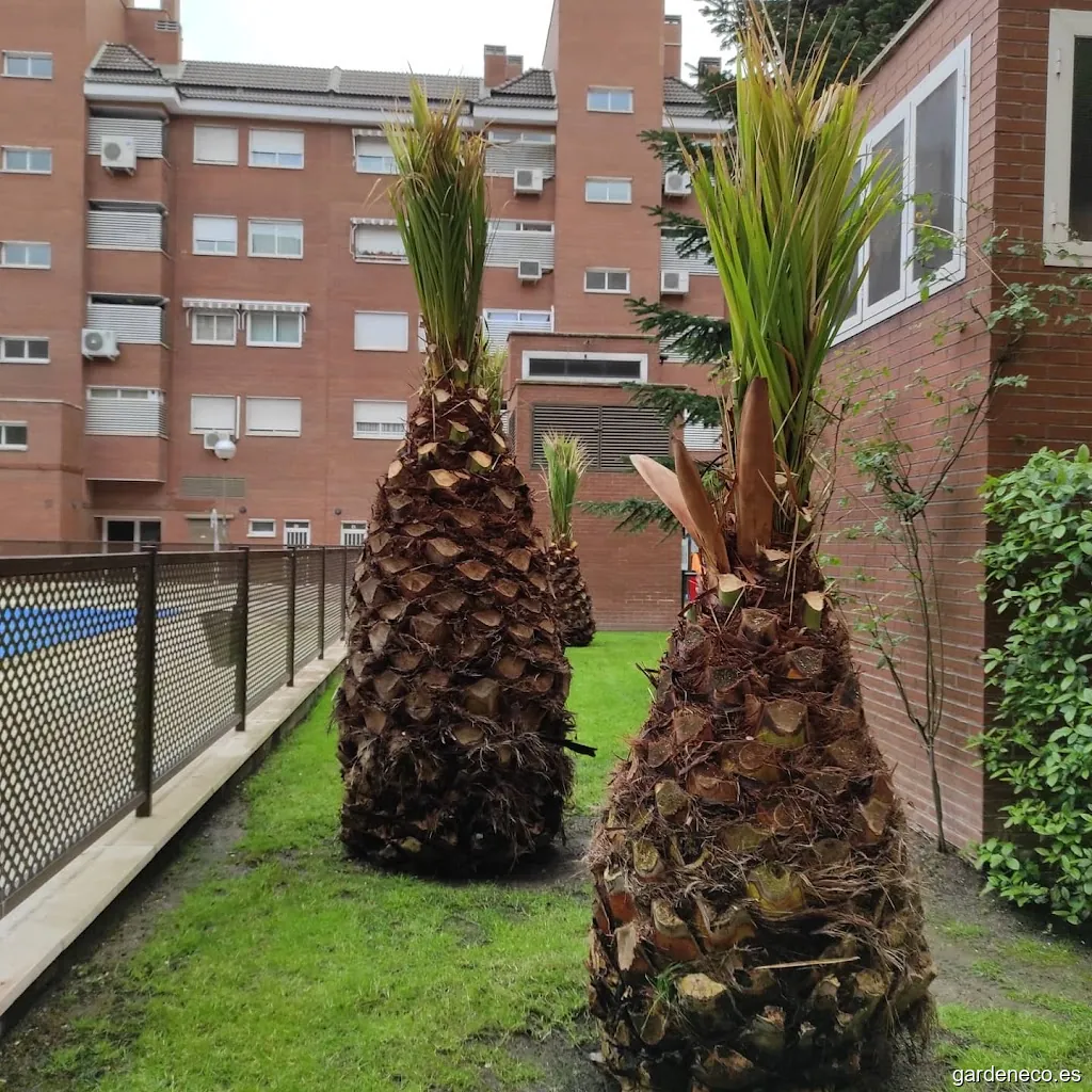 Fagus Jardinería Y Forestal