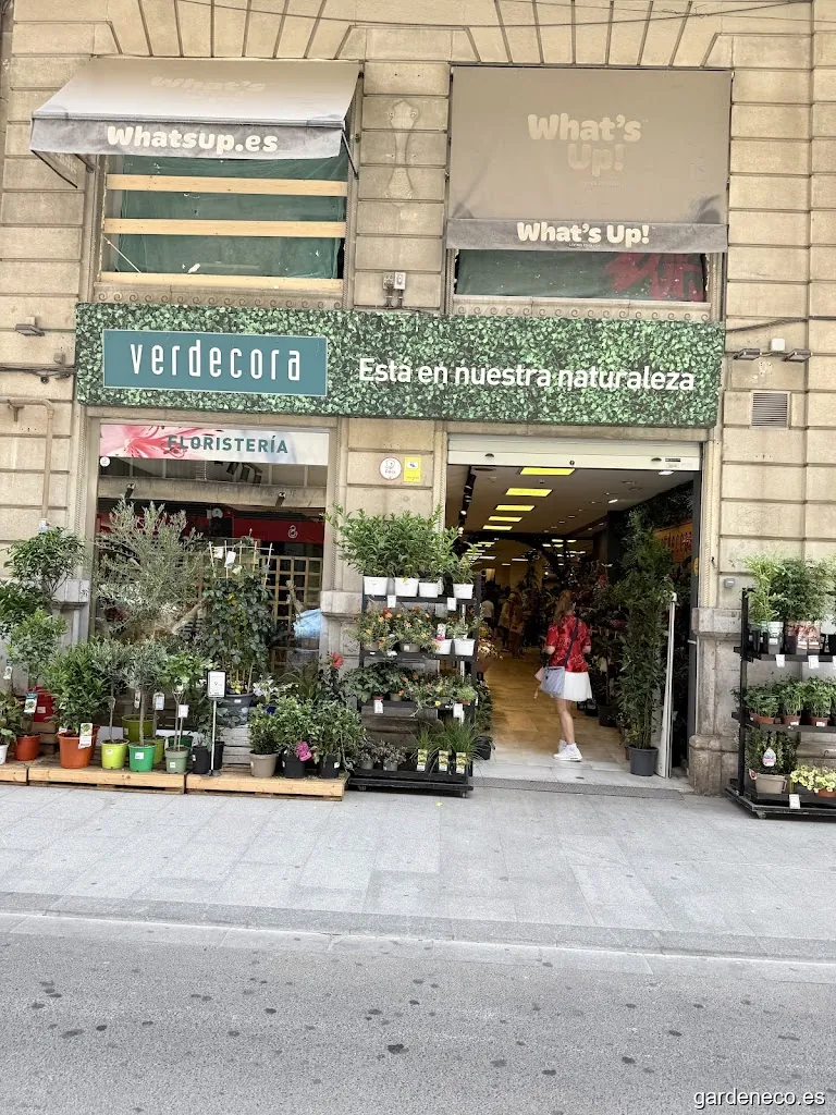 Verdecora Urban Valencia