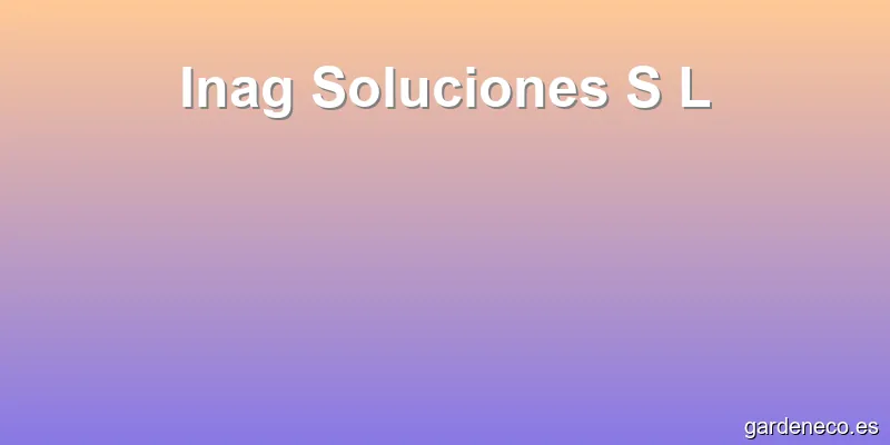 Inag Soluciones S L