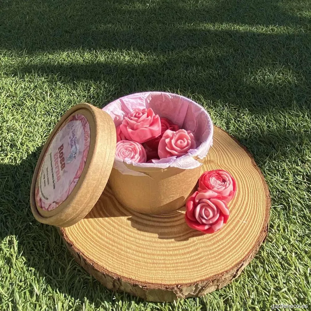 El Jardín Suculento de Minnie (Velas y Aromas Artesanales)