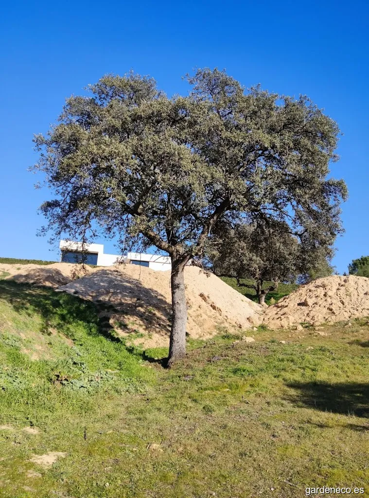JGF Ingeniería Medioambiental, Jardinería y Agricultura