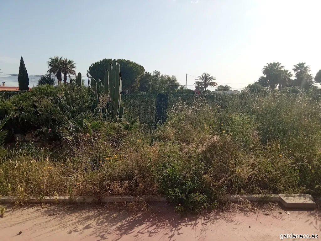 Jardinería Keiko sanidad vegetal